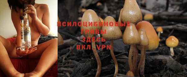 mdpv Нягань