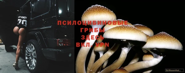 mdpv Нягань