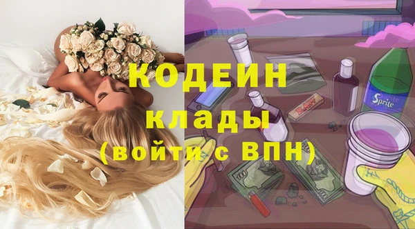 ешки Няндома