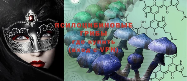 ешки Няндома
