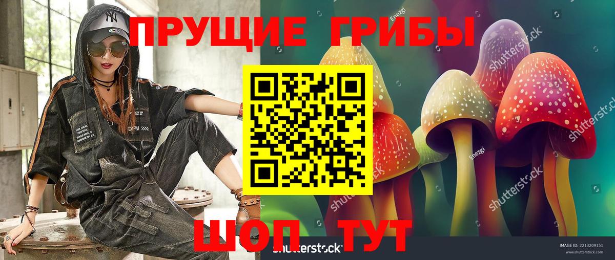 Галлюциногенные грибы мицелий Саратов